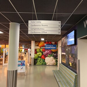 whatsapp-image-2022-07-04-at-1