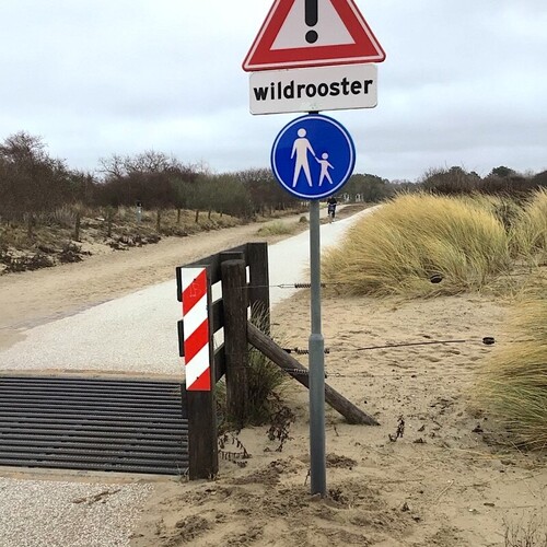 verkeersbord-g11-10eb