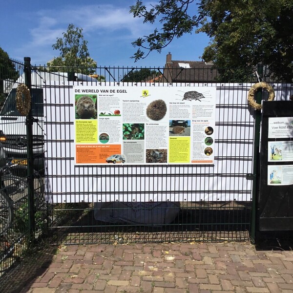 foto-04-07-2019-113042