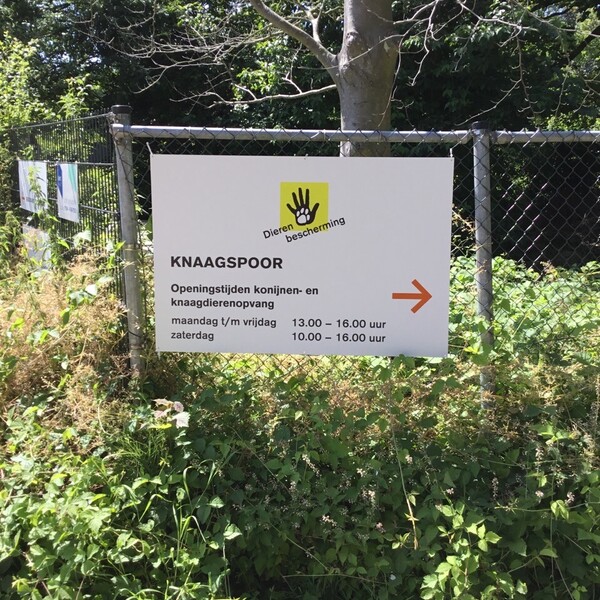 foto-04-07-2019-150923