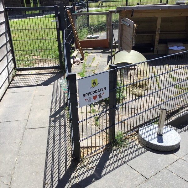 foto-04-07-2019-151123