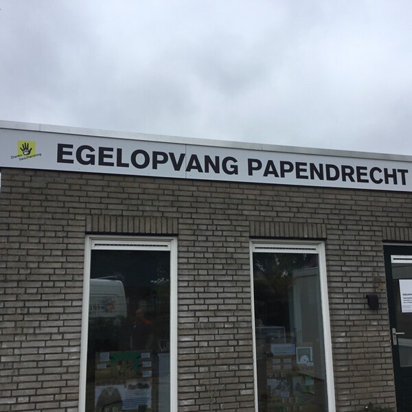 foto-07-10-2019-112208