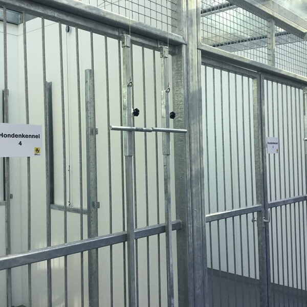 foto-10-02-2023-133950