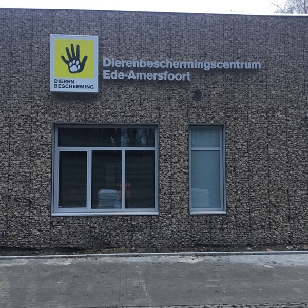 foto-10-02-2023-171536