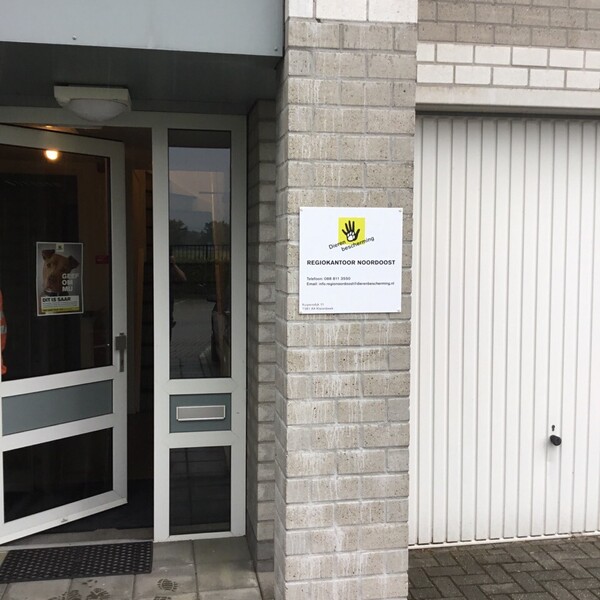 foto-12-06-2019-134344