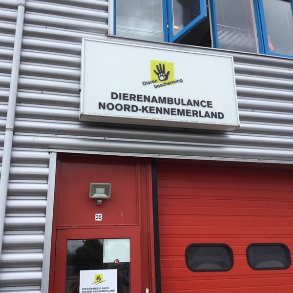 foto-13-06-2019-114533