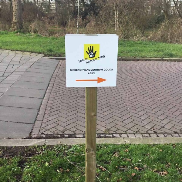 foto-19-02-2020-1325