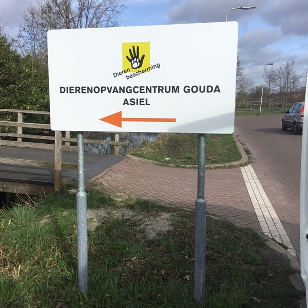 foto-19-02-2020-140716