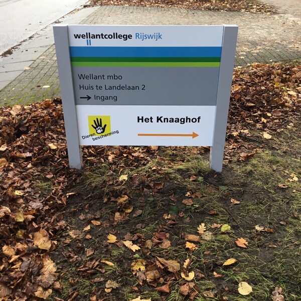 foto-19-11-2019-102029