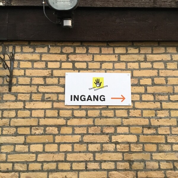 foto-19-11-2019-161425