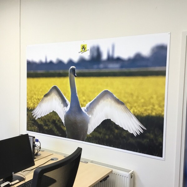 foto-28-11-2019-150941