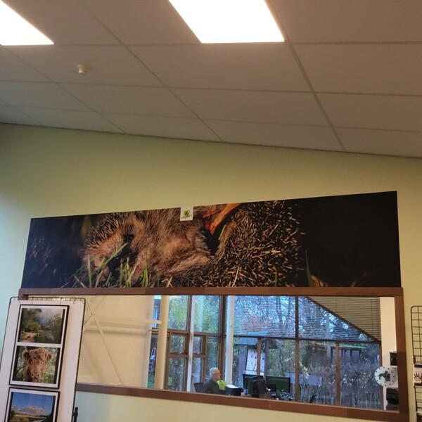 foto-28-11-2019-151151