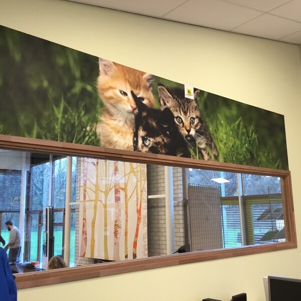 foto-28-11-2019-151222